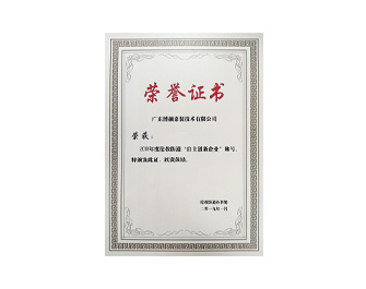 2019年自主創(chuàng)新榮譽證書